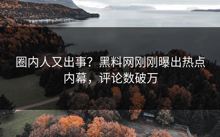 圈内人又出事？黑料网刚刚曝出热点内幕，评论数破万  第1张
