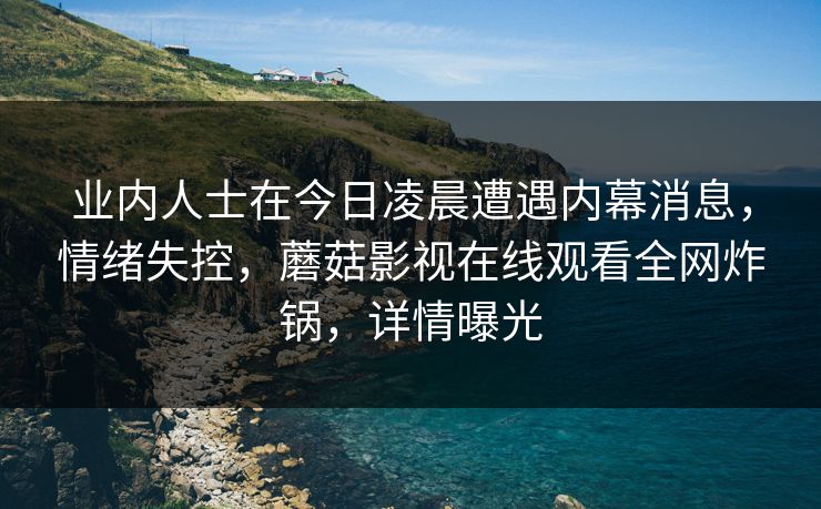 业内人士在今日凌晨遭遇内幕消息，情绪失控，蘑菇影视在线观看全网炸锅，详情曝光  第1张
