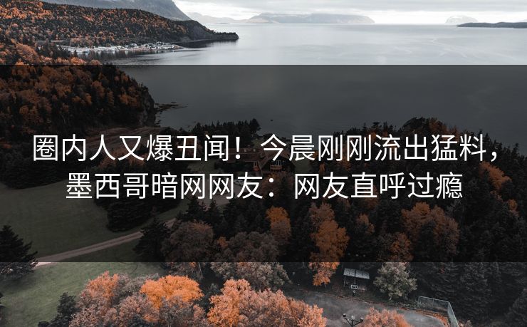 圈内人又爆丑闻！今晨刚刚流出猛料，墨西哥暗网网友：网友直呼过瘾