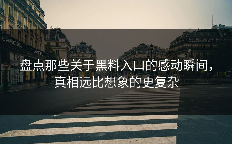 盘点那些关于黑料入口的感动瞬间，真相远比想象的更复杂
