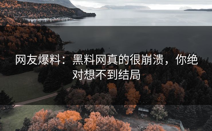 网友爆料：黑料网真的很崩溃，你绝对想不到结局