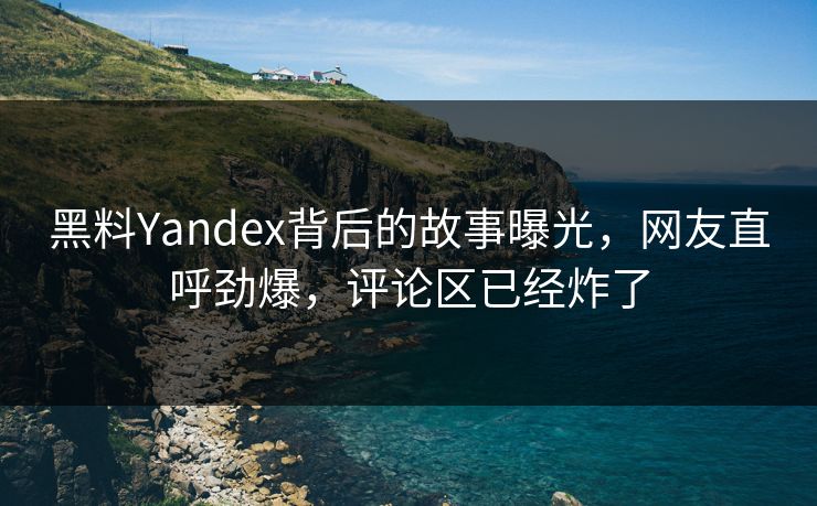 黑料Yandex背后的故事曝光，网友直呼劲爆，评论区已经炸了  第1张