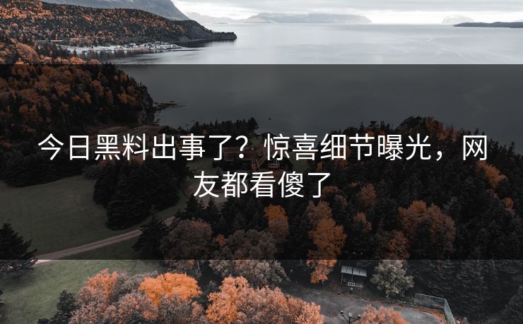 今日黑料出事了？惊喜细节曝光，网友都看傻了