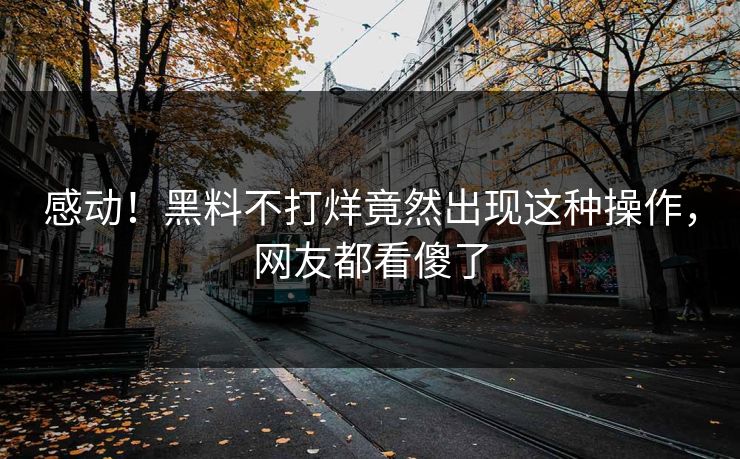 感动！黑料不打烊竟然出现这种操作，网友都看傻了