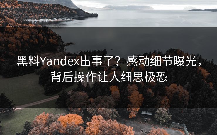 黑料Yandex出事了？感动细节曝光，背后操作让人细思极恐  第1张