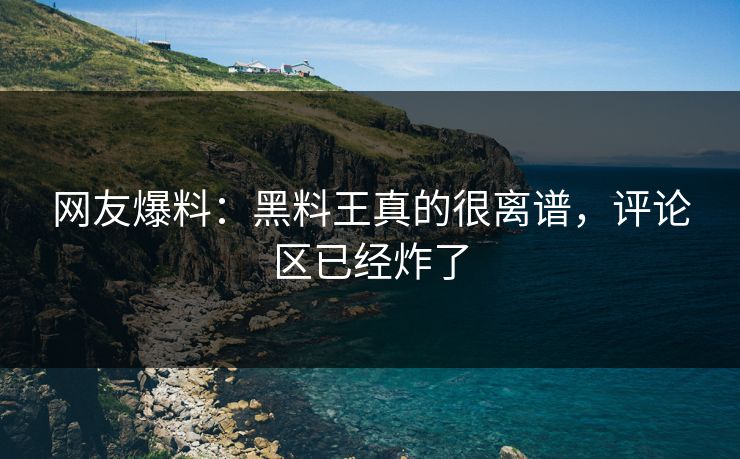 网友爆料：黑料王真的很离谱，评论区已经炸了