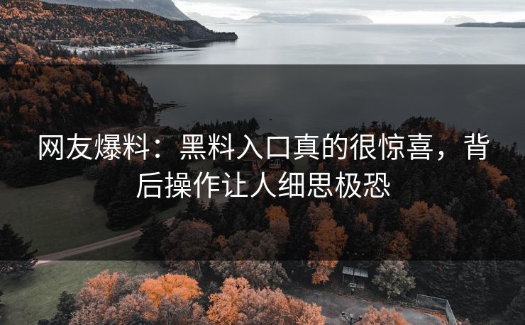 网友爆料：黑料入口真的很惊喜，背后操作让人细思极恐  第1张