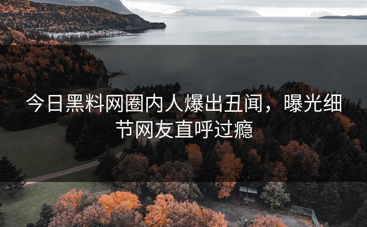 今日黑料网圈内人爆出丑闻，曝光细节网友直呼过瘾  第1张