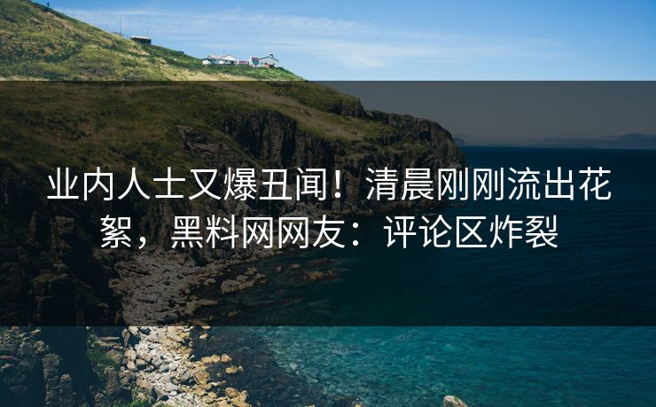 业内人士又爆丑闻！清晨刚刚流出花絮，黑料网网友：评论区炸裂  第1张