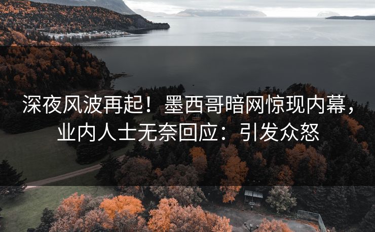 深夜风波再起！墨西哥暗网惊现内幕，业内人士无奈回应：引发众怒  第1张