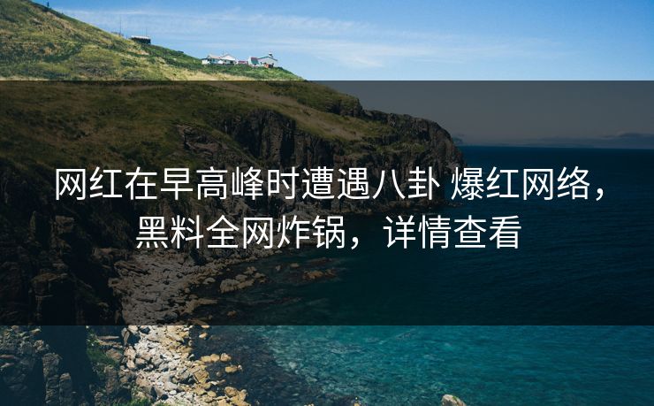 网红在早高峰时遭遇八卦 爆红网络，黑料全网炸锅，详情查看