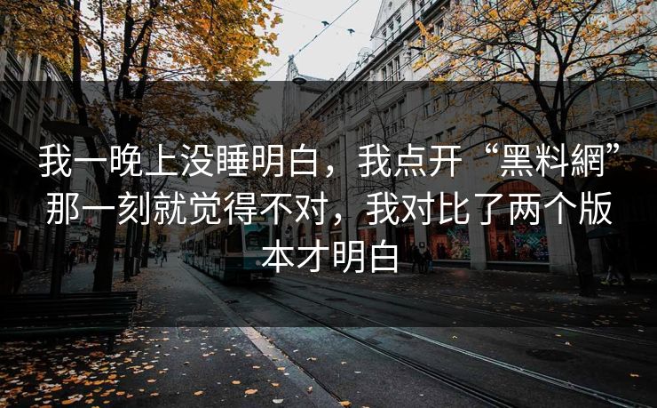 我一晚上没睡明白，我点开“黑料網”那一刻就觉得不对，我对比了两个版本才明白