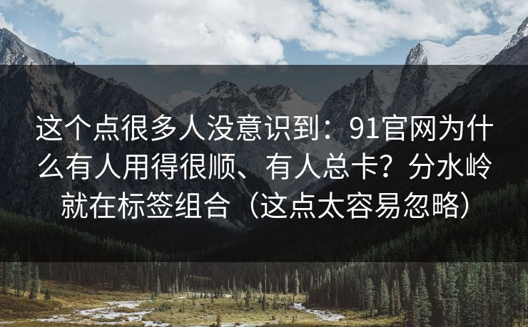 这个点很多人没意识到：91官网为什么有人用得很顺、有人总卡？分水岭就在标签组合（这点太容易忽略）  第1张