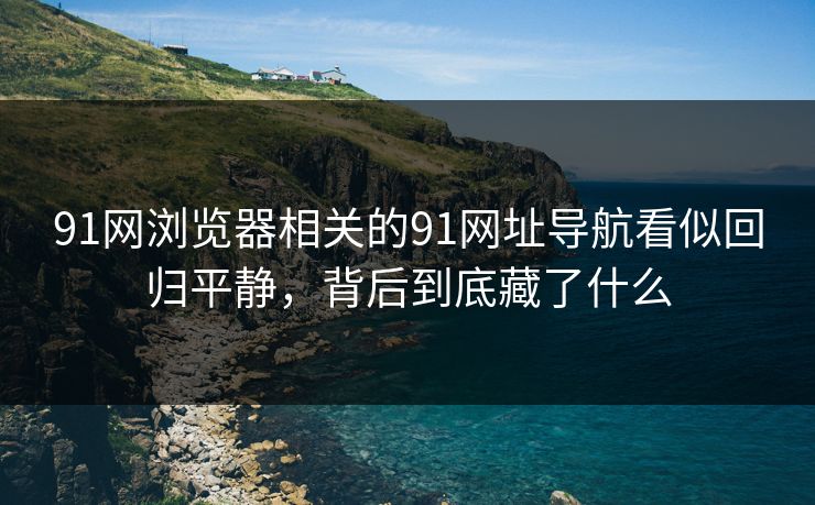 91网浏览器相关的91网址导航看似回归平静，背后到底藏了什么  第1张